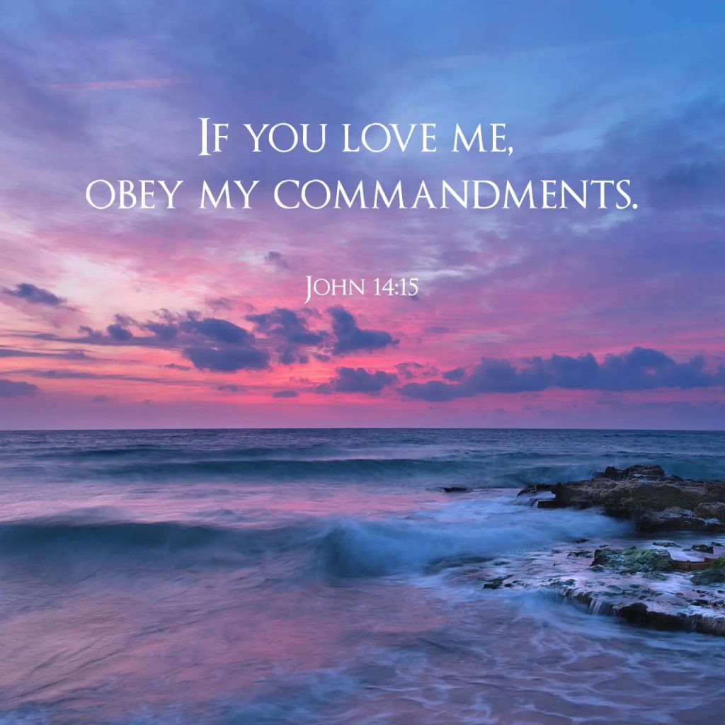 John 14:15 If you love me, obey my commandments.